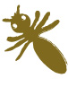 Termite